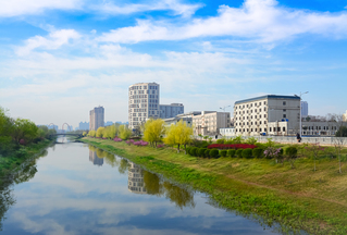 衛河夏景