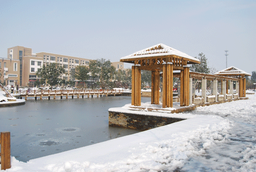 東區湖雪景